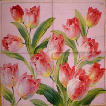055 Tulpen - 3-lagig (creme) - Ihr